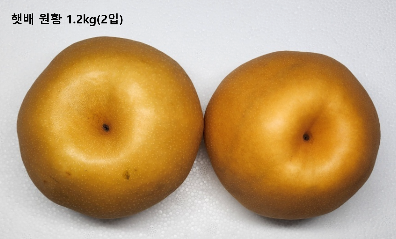 이미지4